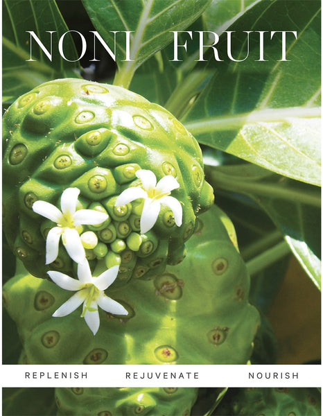 KORA ORGANICS NONI GLOW FACE OIL 30ML
