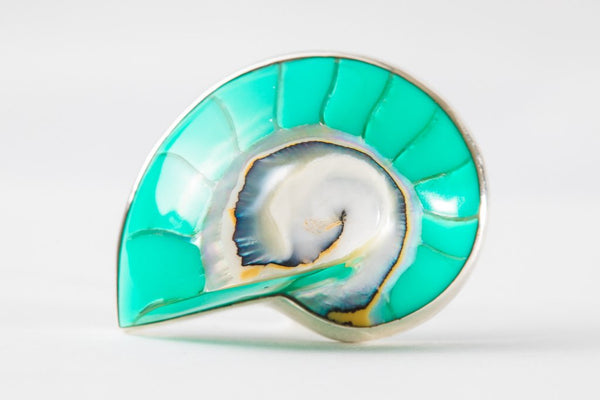 TURQUOISE NAUTILUS RING